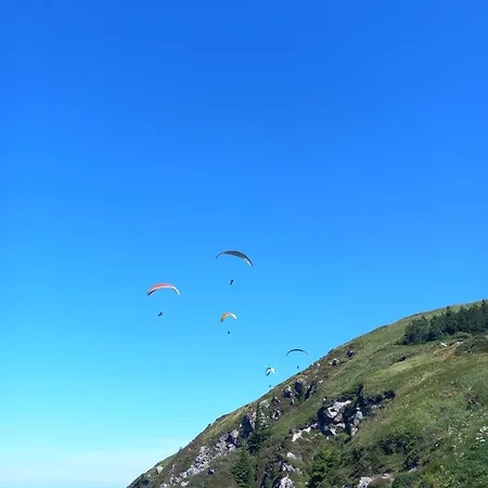 L'instant Présent Messeix