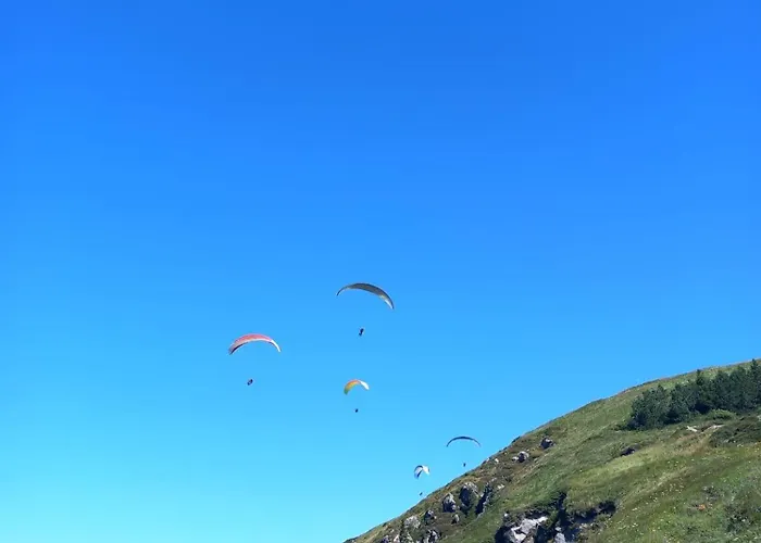 L'instant Present Messeix